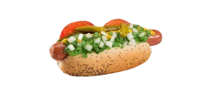 chicago hot style dog